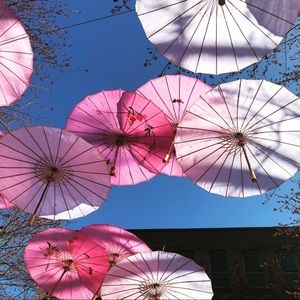 Meet Your Posher, Dee